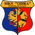Odra Wodzisław Śl. logo